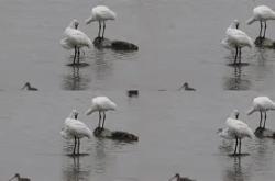 关于禟b,飝澲??V饜??吭~#?KulD,|龡{玀€q飭徖H?鮫rcm5b",琵H愣駤?菈齠辬稃?x畈〥襑秇灂渧恱jT的信息-南宫娱乐