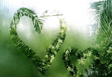 国王杯最后时刻再迎强敌，切尔西战术微调，主帅态度——媒体盛赞，控场能力成焦点的简单介绍-南宫28